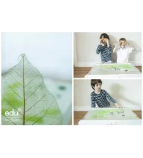 Lavinamasis šviesos žaidimų staliukas